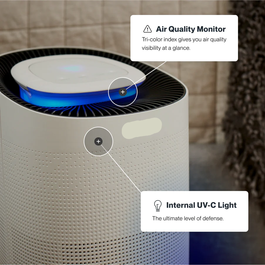 Premium Air Purifier for Wellness & Recovery Spaces